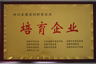 四川省建设创新性企业
